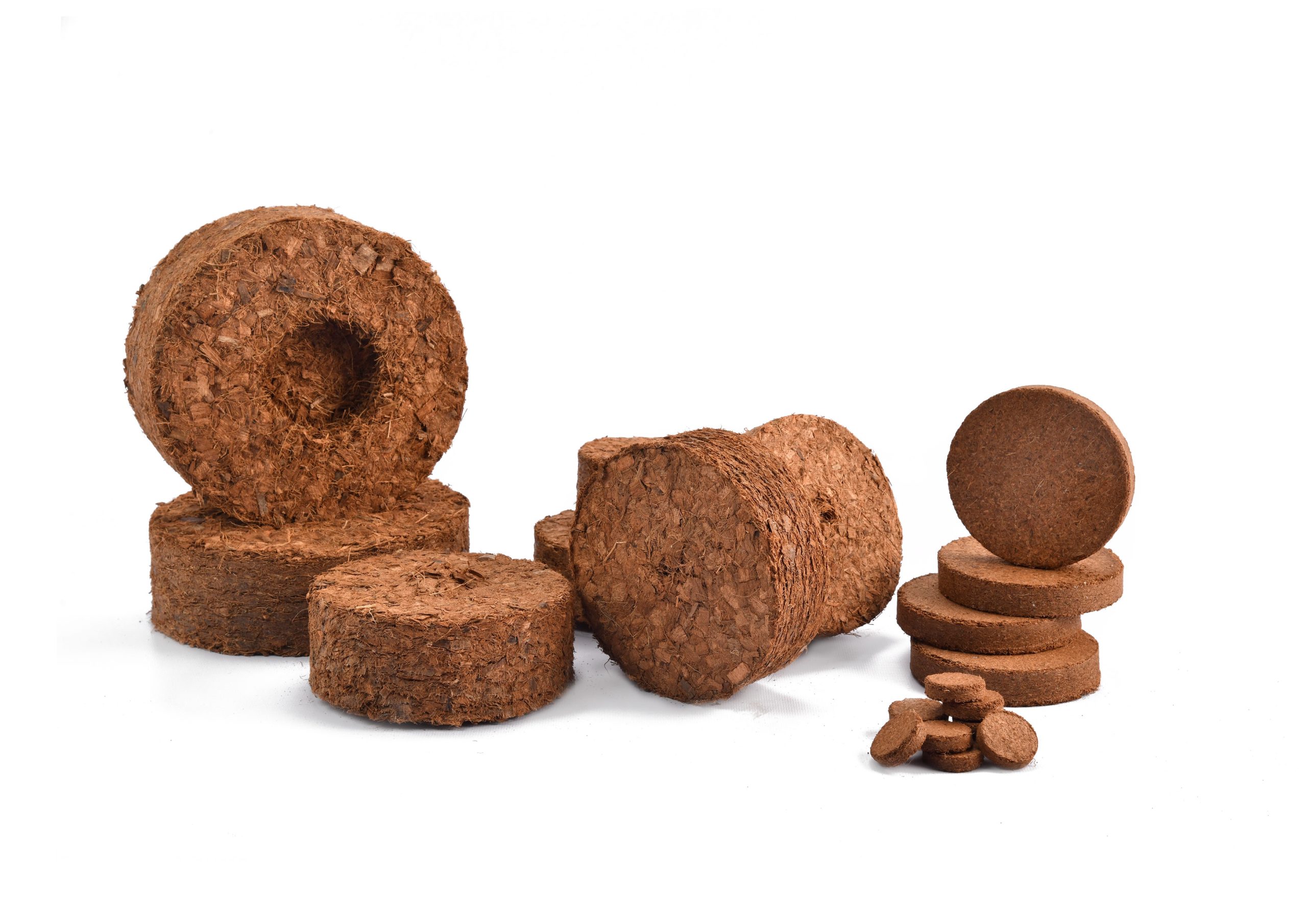 Coco Disk