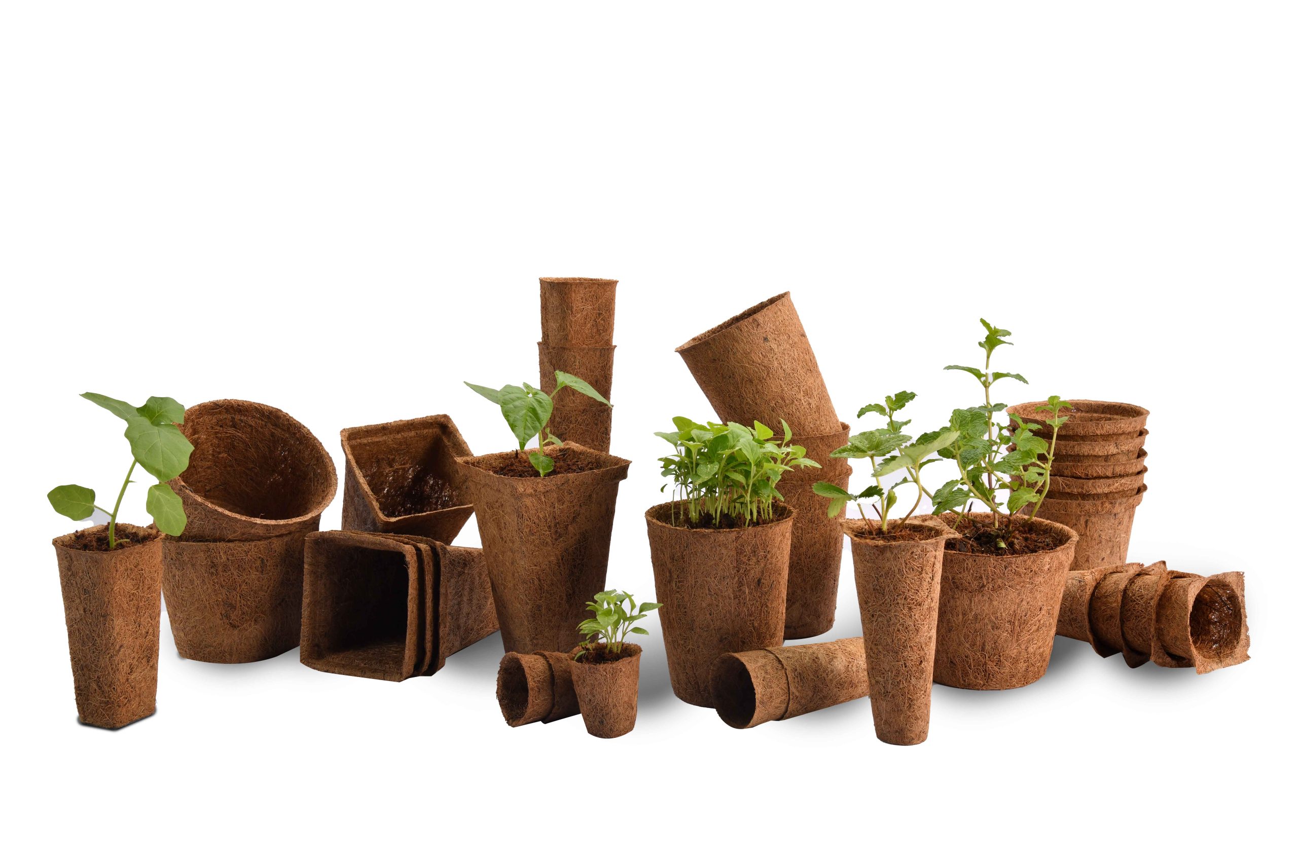 coco pots