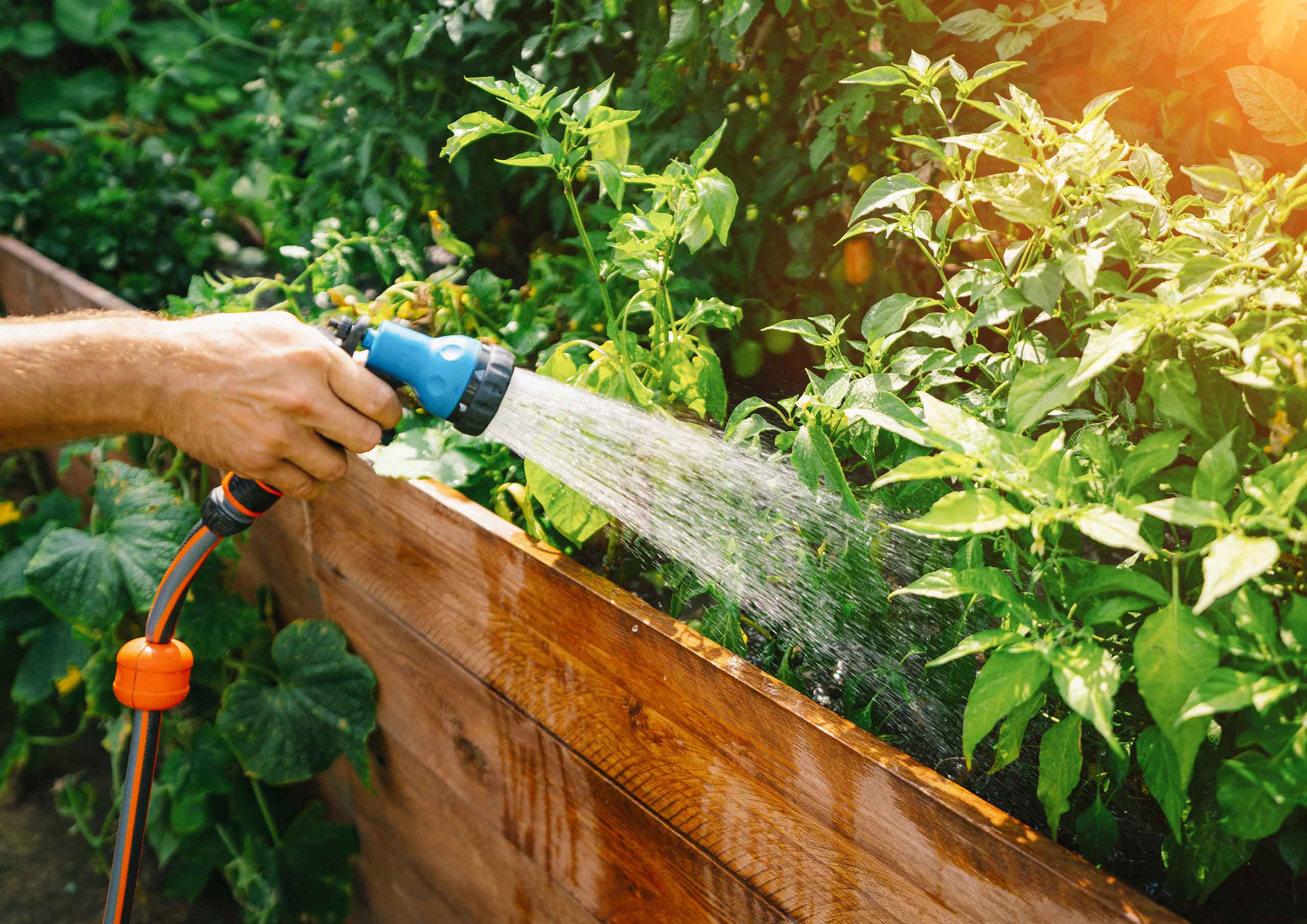 Hobby-Garden